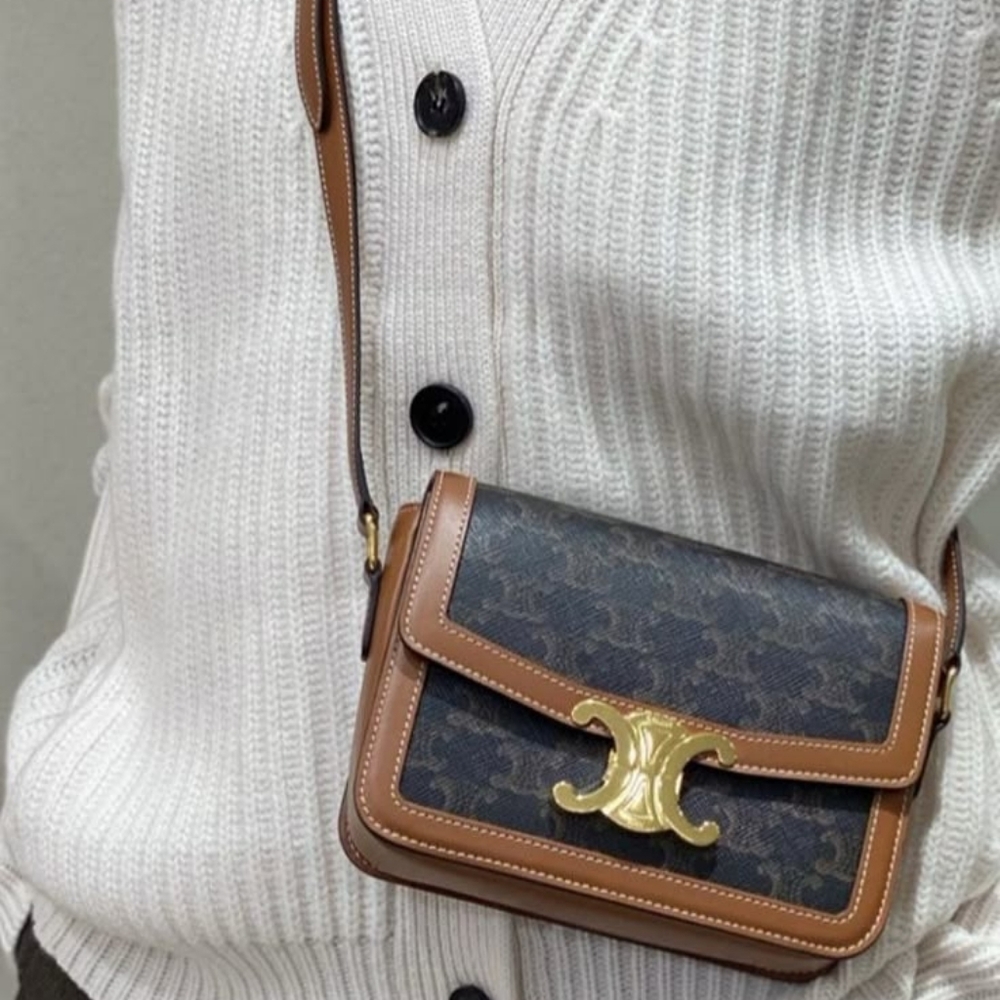 BRAND NEW! Celine TEEN TRIOMPHE BAG IN TRIOMPHE CANVAS AND CALFSKIN - Picture 4 of 16